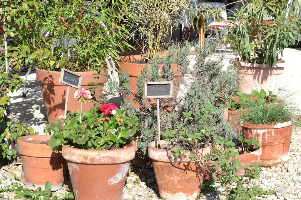 La Locanda Di Valbella آستي المظهر الخارجي الصورة